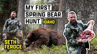 My First Spring Bear Hunt In Idaho | Seth Feroce