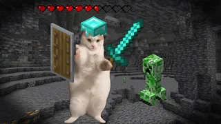 Cat Memes :Find Diamonds In Minecraft