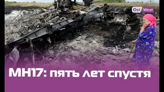 Крушение MH17. Родственники погибших обратились к России