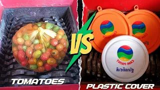 Tomatoes vs Plastics Cover vs Fast Shredder Machine | Top 10 Videos New Compilation ASMR Sound