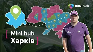 Вплив Харьківської області на КУКУРУДЗУ UNIVERSEED. Бездоганна робота ПРОПІЗАХЛОРУ й ТЕРБУТИЛАЗИНУ