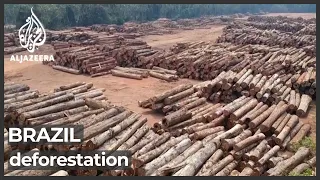 Brazil deforestation crisis likely to be worsened by drought, fires
