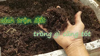 Cách trộn đất trồng gì cũng tốt