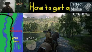 RDR2 How to get a Perfect Moose Pelt