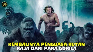 TERJADINYA PERANG BESAR ANTARA HEWAN VS MANUSIA || Alur Cerita FIlm THE LEGEND OF TARZAN (2016)