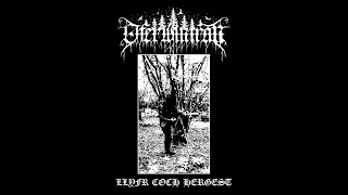 Oferwintran - Ousel of Cilgwri (New Track)