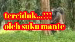 WANITA CANTIKNYA DI W!K-W!K GITU-GITUIN SAMA SUKU MANTE