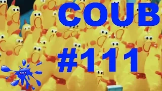 BEST COUB Лучшее приколы #111