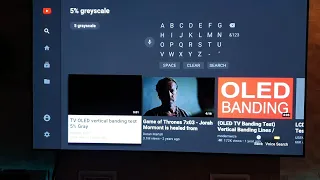 LG C9 OLED burn in and vertical banding test