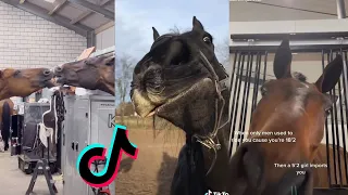 THE FUNNIEST HORSE TikTok Compilation 2022 #61