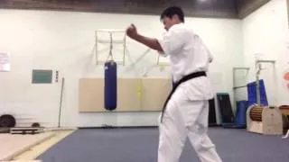 KATA TAIKYOKU SONO SAN (3) -  KYOKUSHIN