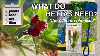 what you *actually* need for a betta fish | the ultimate checklist