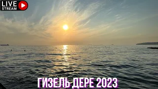 Гизель Дере 2023