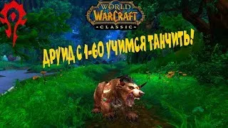 WORLD OF WARCRAFT CLASSIC ДРУИД С 1-60 часть 61