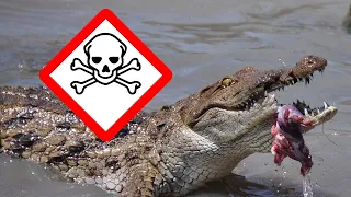 Top 10 Most DANGEROUS Rivers in the World
