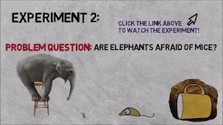 Elephant and the mouse questions