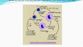 Chronic Inflammation (HD)