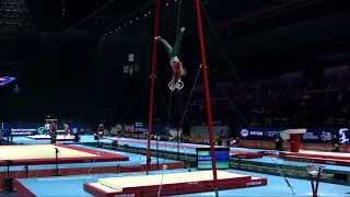 MESZAROS Krisztofer (HUN) - 2022 Artistic Worlds, Liverpool (GBR) - Qualifications Rings