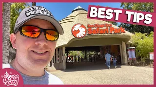 San Diego Zoo Safari Park Tips | 10 Things to Know in 2022