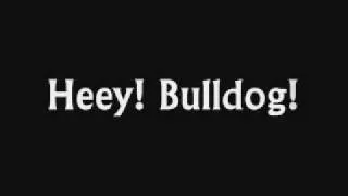 Hey Bulldog! Lyrics