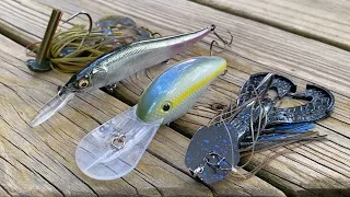 The BEST Michigan FISHING Lures!