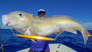 GIANT Deep Sea GOLDEN Tilefish! Catch Clean Cook (Slow Pitch Jigging)