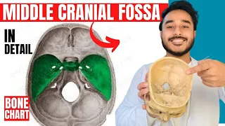 middle cranial fossa anatomy 3d | anatomy of middle cranial fossa of skull anatomy