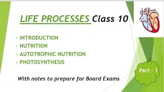 LIFE PROCESSES|CLASS 10|BIOLOGY|Autotrophic Nutrition, Photosynthesis with Notes to prepare for exam