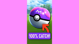 💯Catch Galarian Birds! Master Ball in Pokemon GO!🤯