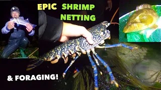 HUGE LOBSTER FORAGED - Epic Shrimp Netting , Lobster Cook On The Beach ! Glowing Creatures