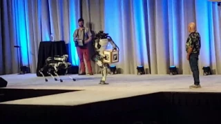 робот Boston Dynamics упал со сцены