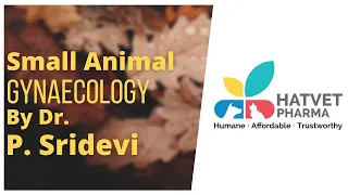 Hatvet's Webinar On Small Animal Gynaecology By Dr. P. Sridevi - Part 1