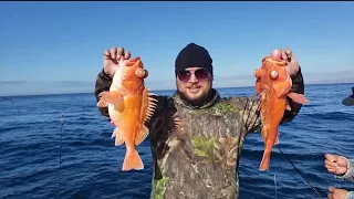 ЛОС АНДЖЕЛЕС, РЫБАЛКА В ТИХОМ ОКЕАНЕ. / Fishing in Los Angeles,  Pacific Ocean.