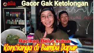 CUMA TERASI, DAUN SALAM, SEREH‼️GACORNYA UMPAN KUKUS