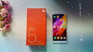 Обзор Xiaomi Redmi 5 Plus / Минусы и плюсы