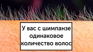 14 малоизвестных, но удивительных фактов о человеческом теле