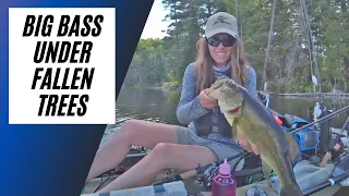 Fishing Fallen Trees for BIG BASS from a Kayak!