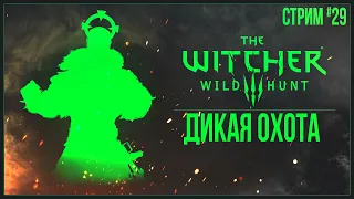 Прохождение The Witcher 3: Wild Hunt (2022) — ДИКАЯ ОХОТА | #29 ФИНАЛ