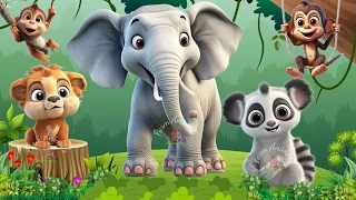 Cute Baby Monkeys - Orangutan, Elephant, Raccoon, Lemur, Lion - ANIMAL (BGM)