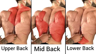 Top 4 Upper Middle & Lower Back Exercises to Grow Bigger Back - gym workout