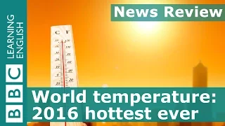 World set to break global temperature record: BBC News Review