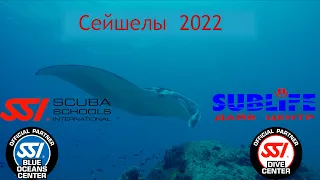 Дайвинг на Сейшелах. декабрь 2022