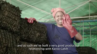 Sustainable Aquaculture at Blue Karoo Fish Farm in South Africa