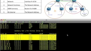 OSPF LSA Types for IPv4