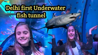 Dubai Underwater fish tunnel in Delhi 🤩 || Full information || Umangvlog
