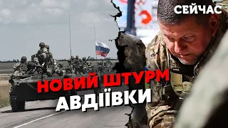 💥7 хвилин тому! Росіяни пішли на ШТУРМ АВДІЇВКИ. Пруть КОЛОНИ техніки. ПРОРИВ ЗСУ до Мелітополя