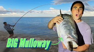 Screaming Reels and Big Fish | Surf Fishing for Mulloway