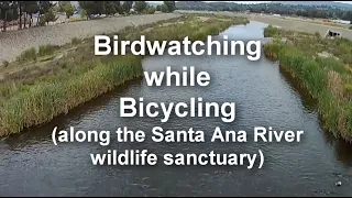 Birdwatching while bicycling SART, May 13 2020