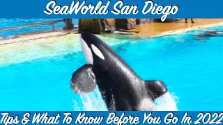 SeaWorld San Diego - Tips & What To Know Before You Go 2022