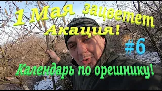 ✅ 1 МАЯ ЗАЦВЕТЕТ АКАЦИЯ...?! Мой УЛЕЙ на 10 рамок! #ПЧЕЛОВОДСТВО6 начинающим с нуля!